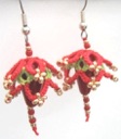 SCMR earrings